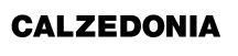 Calzedonia gazetka